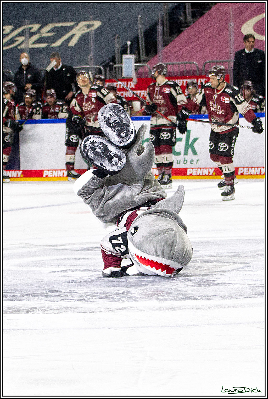 PENNY DEL;  Koelner Haie - Nuernberger Ice Tigers; Koeln, 25.03.2021